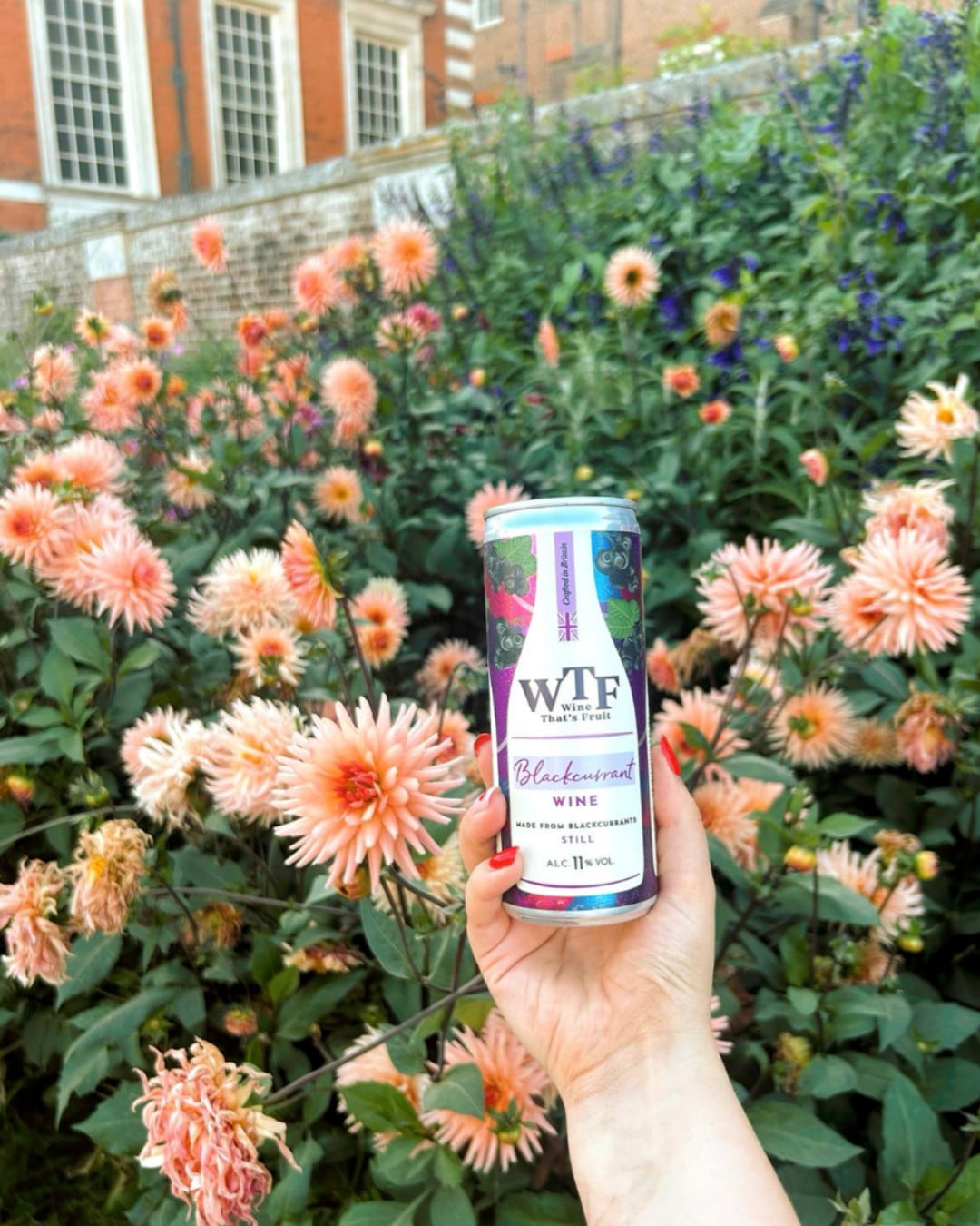 Vampire-Approved: Blackcurrant Wine That Bites Back